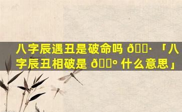 八字辰遇丑是破命吗 🕷 「八字辰丑相破是 🐺 什么意思」